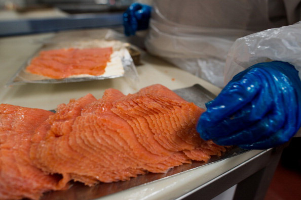 produkcja pakowanie ryb lososia praca 2025